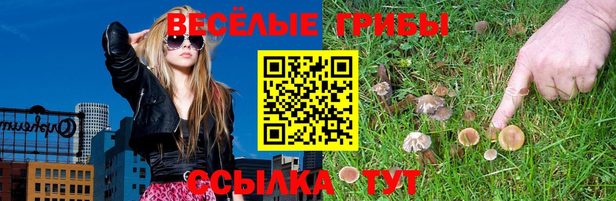 Галлюциногенные грибы Psilocybe  Вход с VPN  Алексеевка 