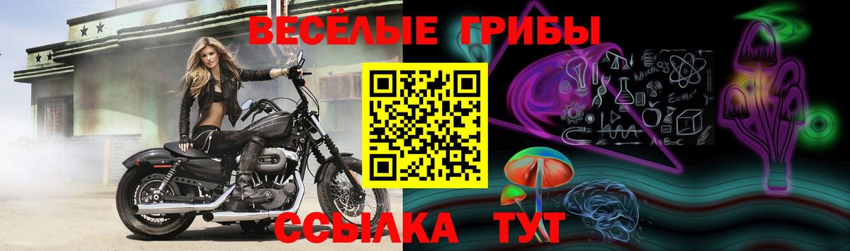 Галлюциногенные грибы GOLDEN TEACHER Алексеевка